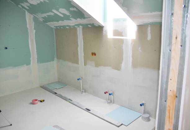 Best Emergency Mold Remediation  in Elgin, MN