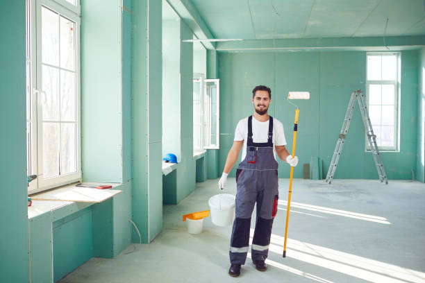 Trusted Elgin, MN Mold Removal Experts