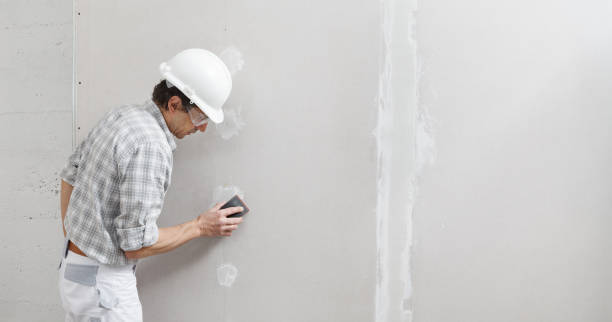 Best Mold Remediation for Healthcare Facilities  in Elgin, MN