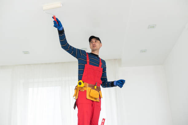 Best Mold Remediation for Rental Properties  in Elgin, MN