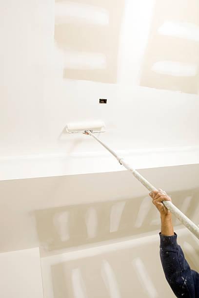 Forensic Mold Investigation in Elgin, MN