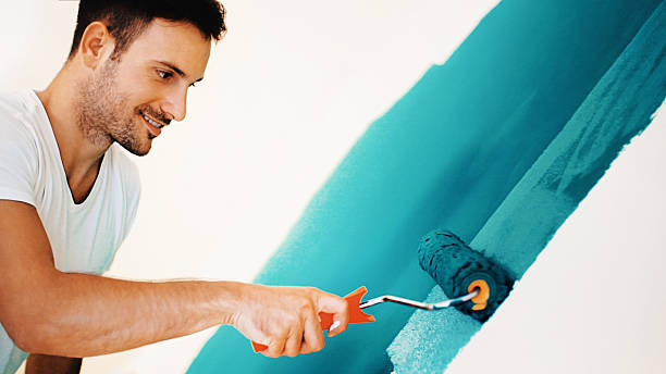 Best Water Damage & Mold Remediation  in Elgin, MN